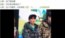 记者爆料王源是真的吗视频,王源真实情况揭秘，视频证据曝光