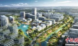 广东顺德最新的爆料,揭秘顺德最新动态与热点事件